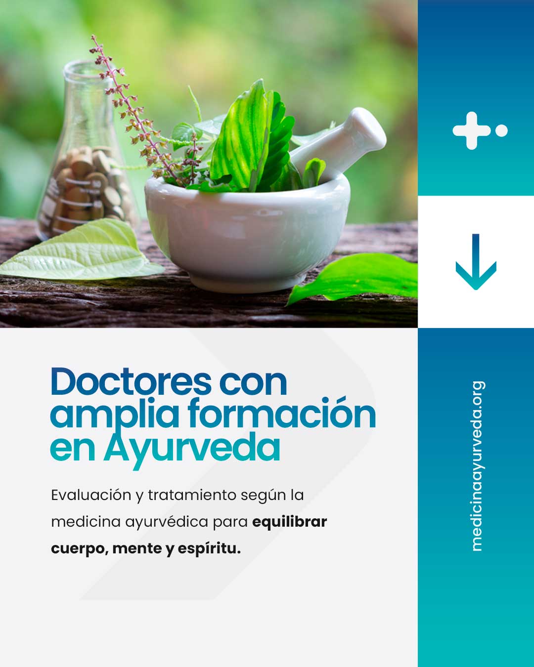 SERVICIOS-doctores